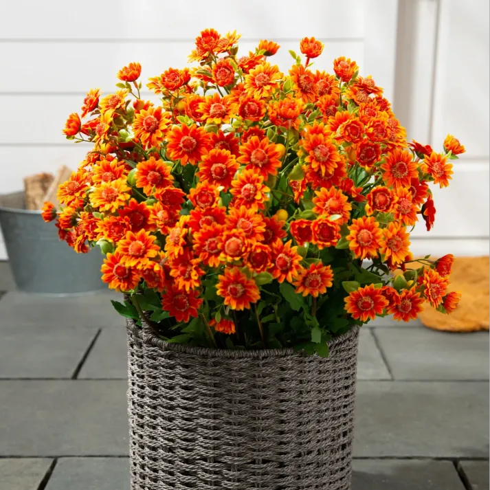 💥Last Day Each - Artificial Outdoor Sunset Mums Flowers -  Waterproof, Windproof